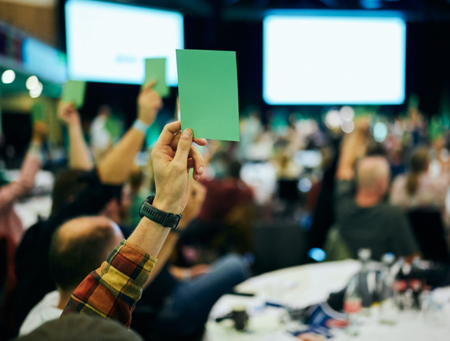 Afstemning - grønne sedler bliver rakt i vejret